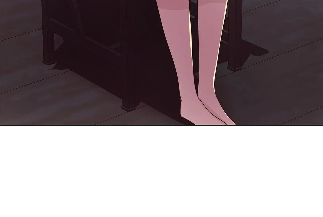 第204页