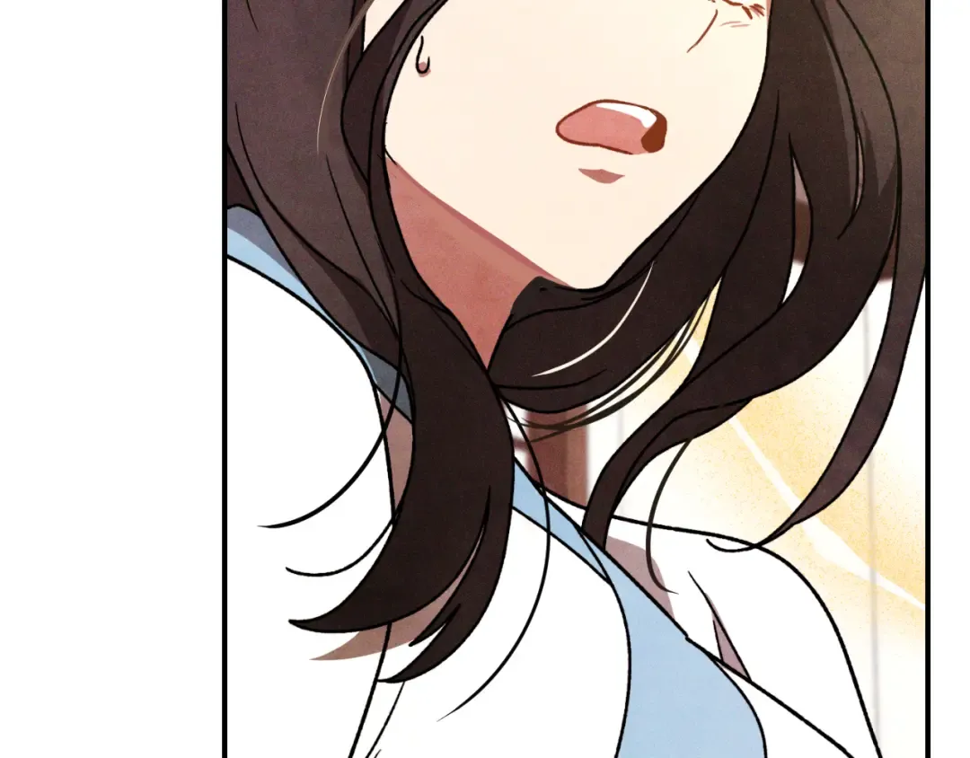 第558页