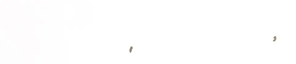 第240页