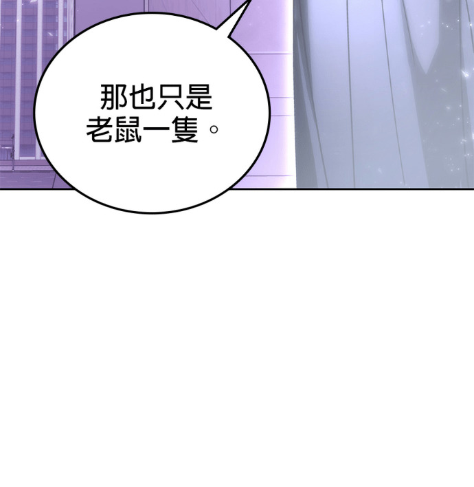 第339页