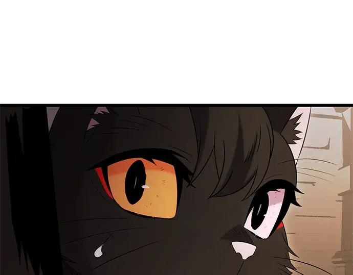 第540页