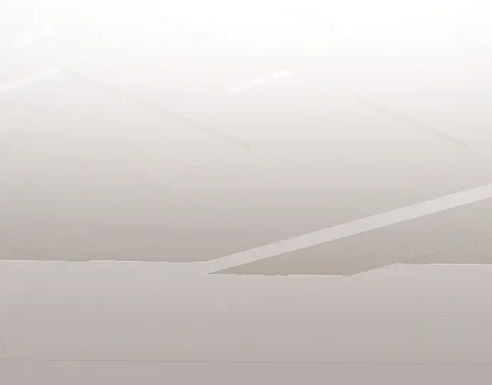 第462页