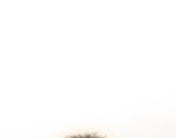 第594页