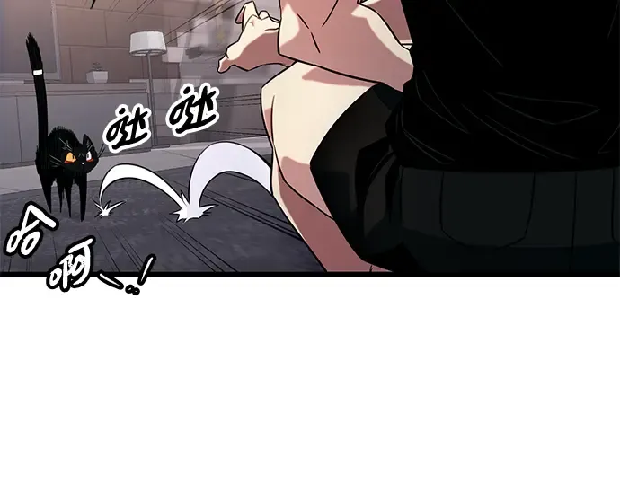 第255页