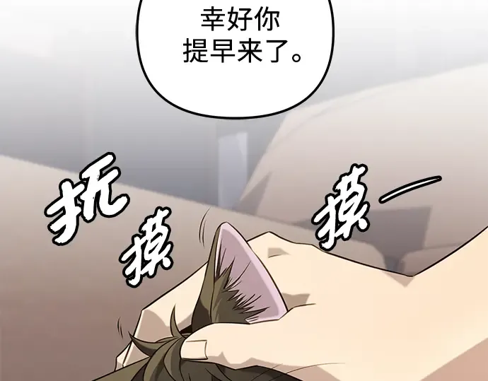 第243页