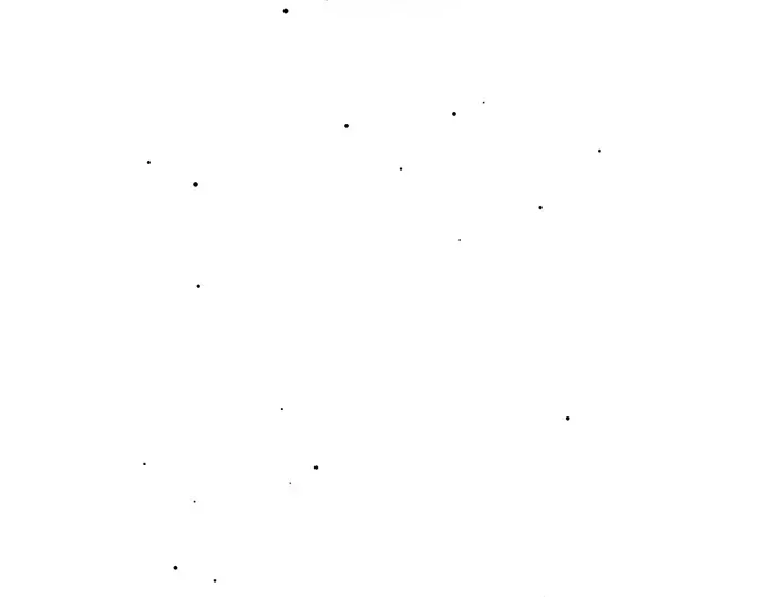 第306页