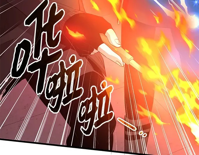 第210页