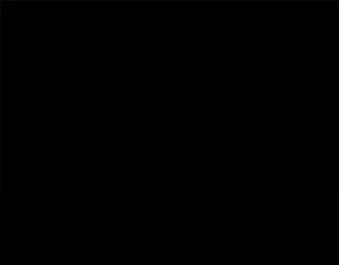 第204页