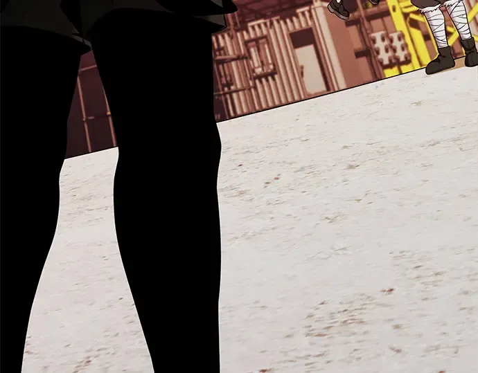 第255页