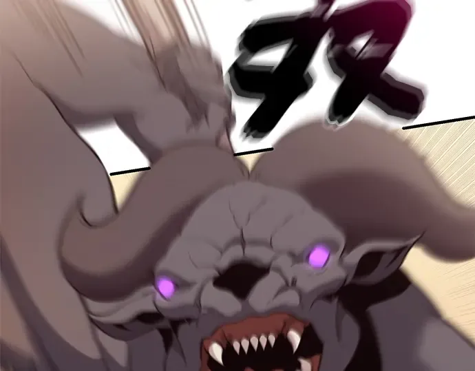 第255页
