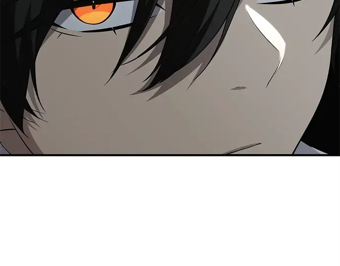 第531页