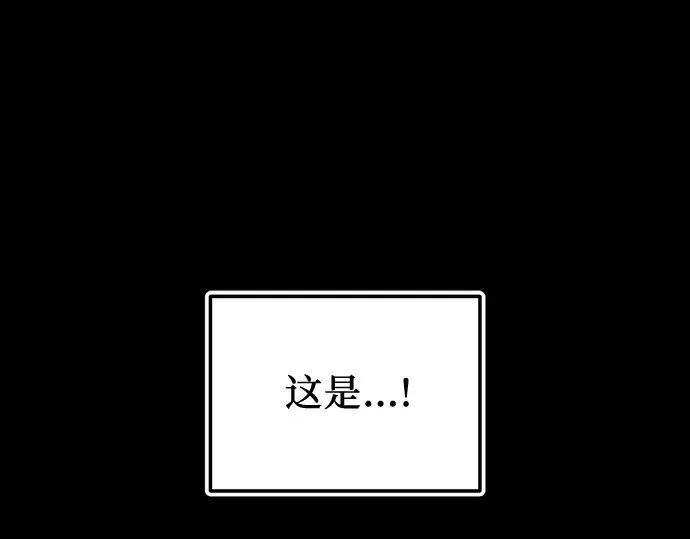 第447页