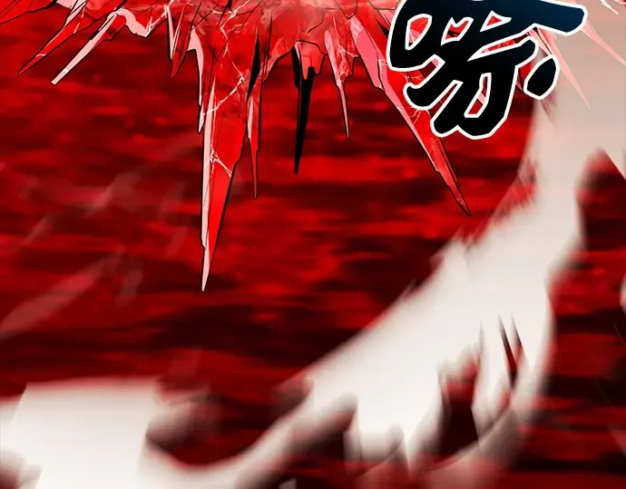 第441页