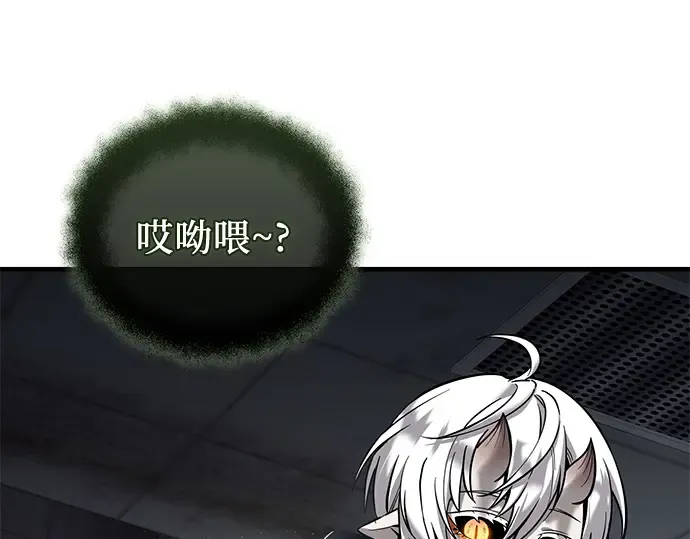 第204页