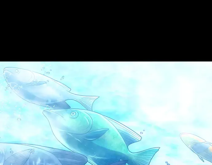 第246页