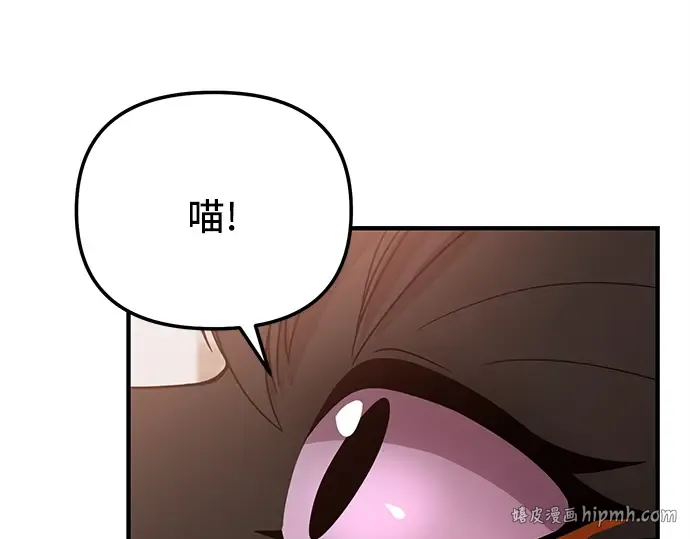 第429页