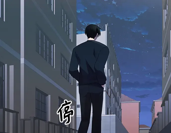 第537页