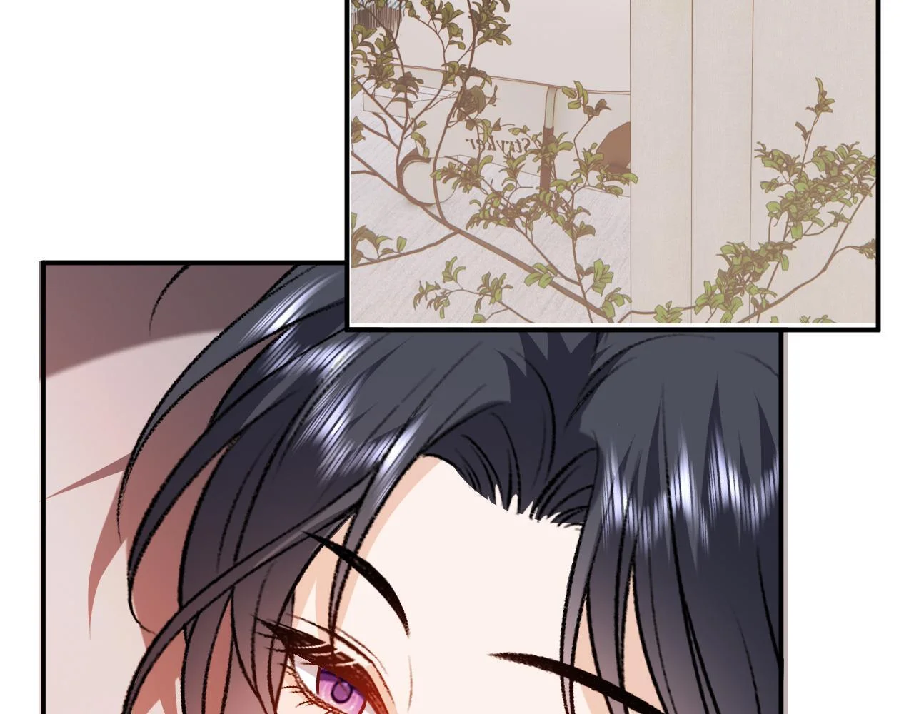 第231页