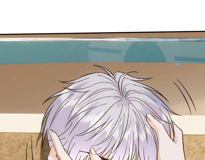 第213页