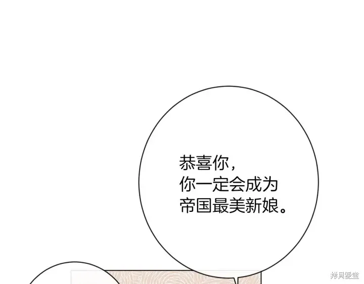 第519页