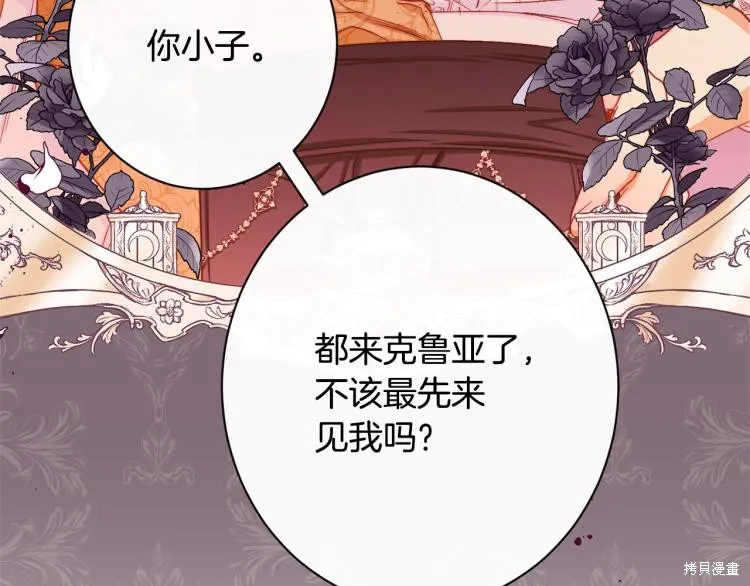 第558页
