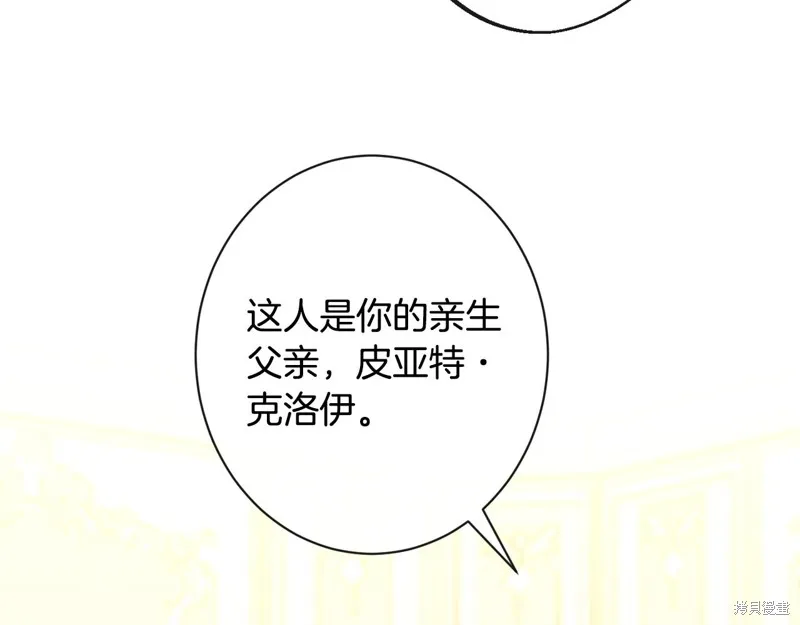 第519页