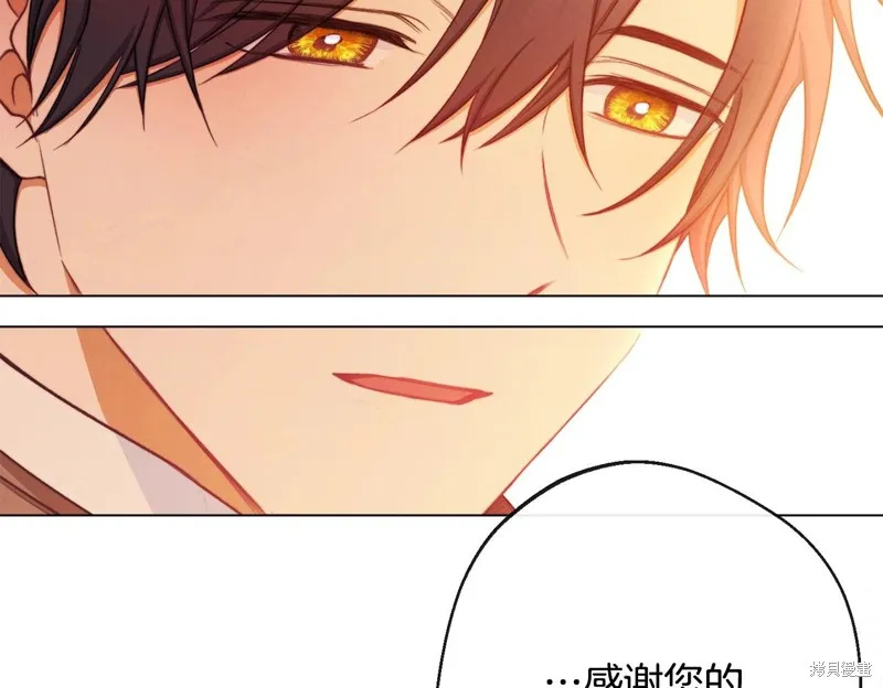 第279页