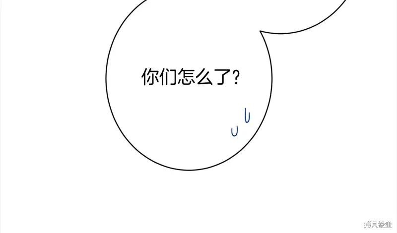 第567页