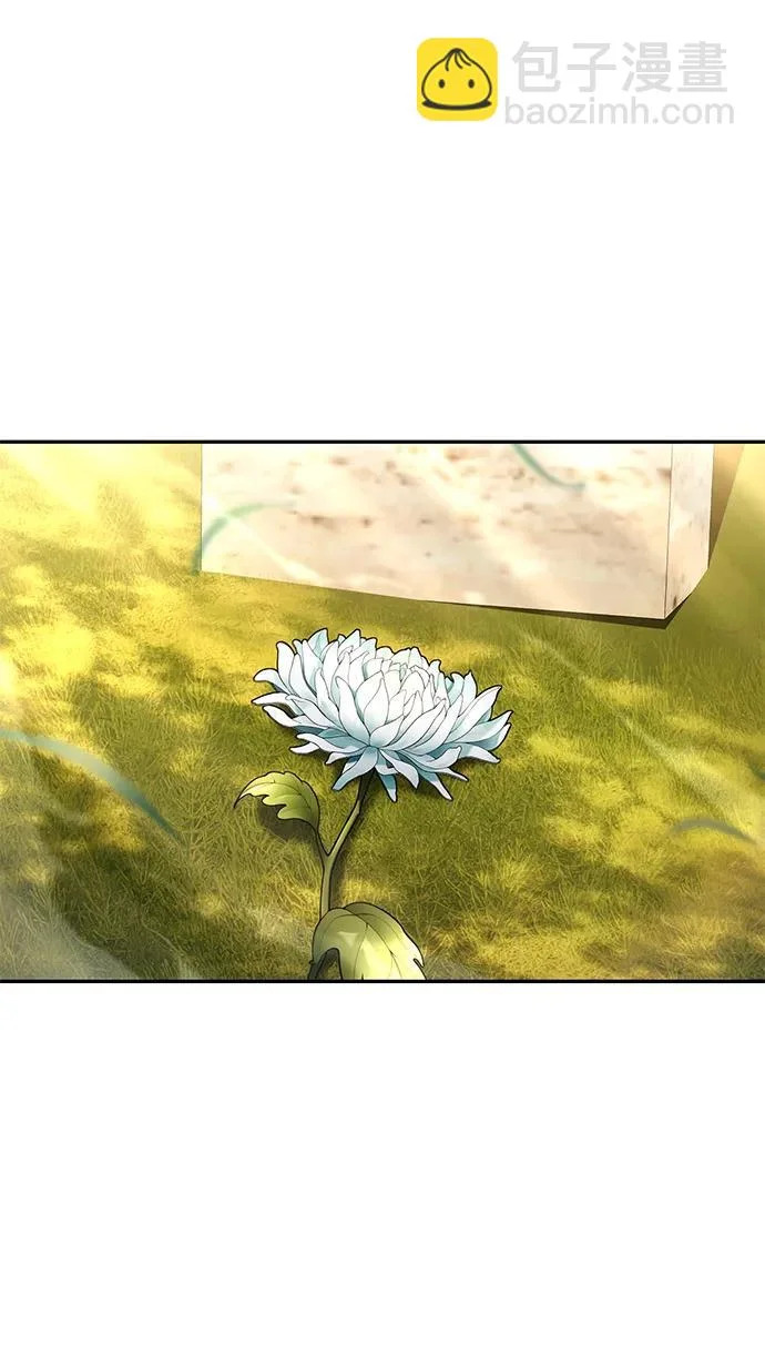 第231页