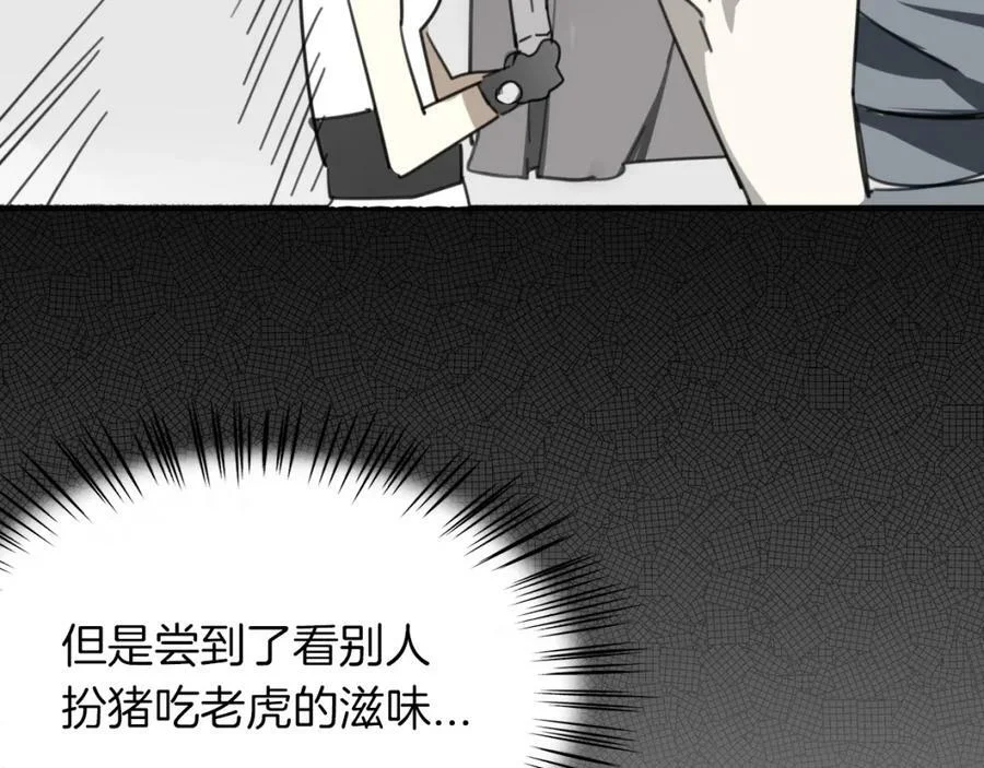 第243页