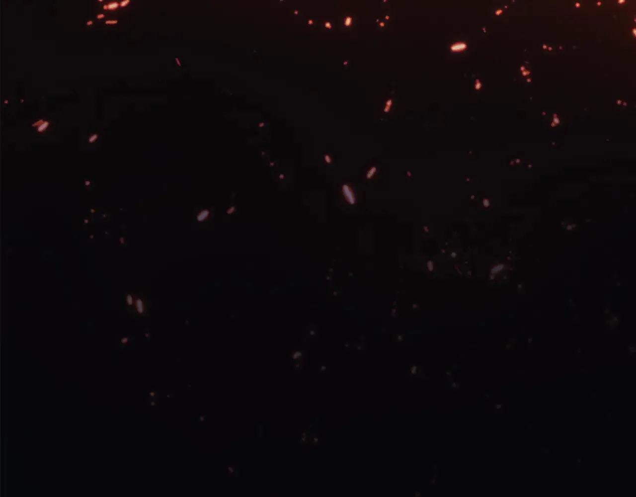 第600页