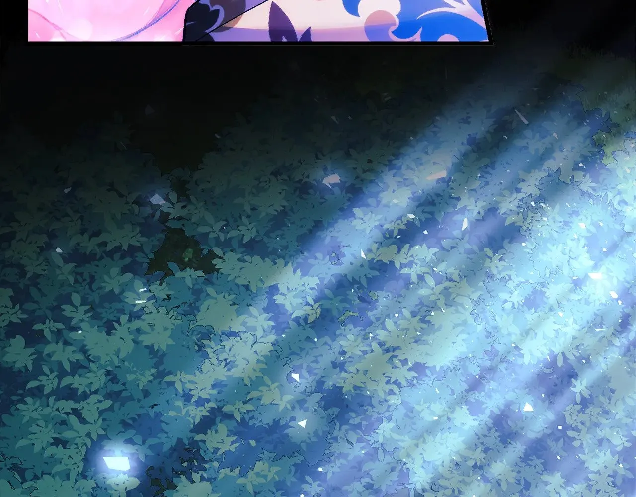 第204页