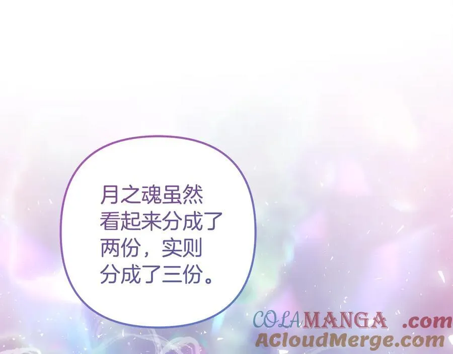 第384页