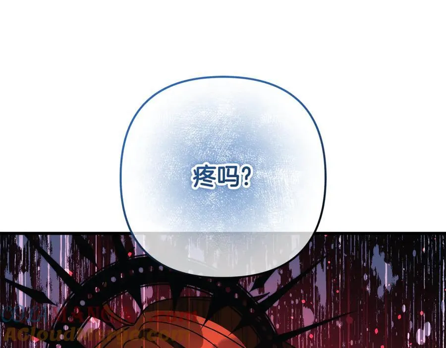 第228页