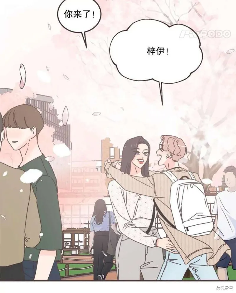 第237页