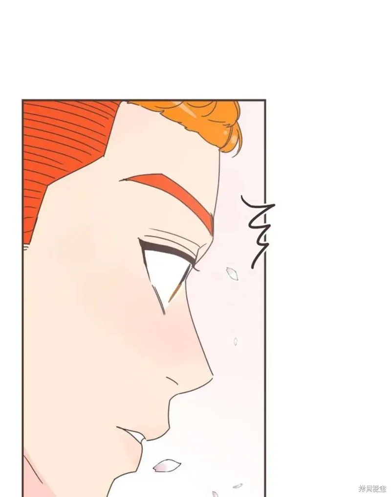 第339页
