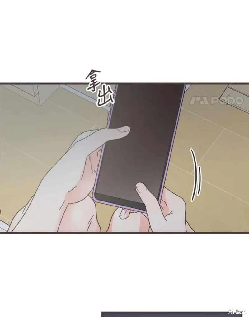 第219页