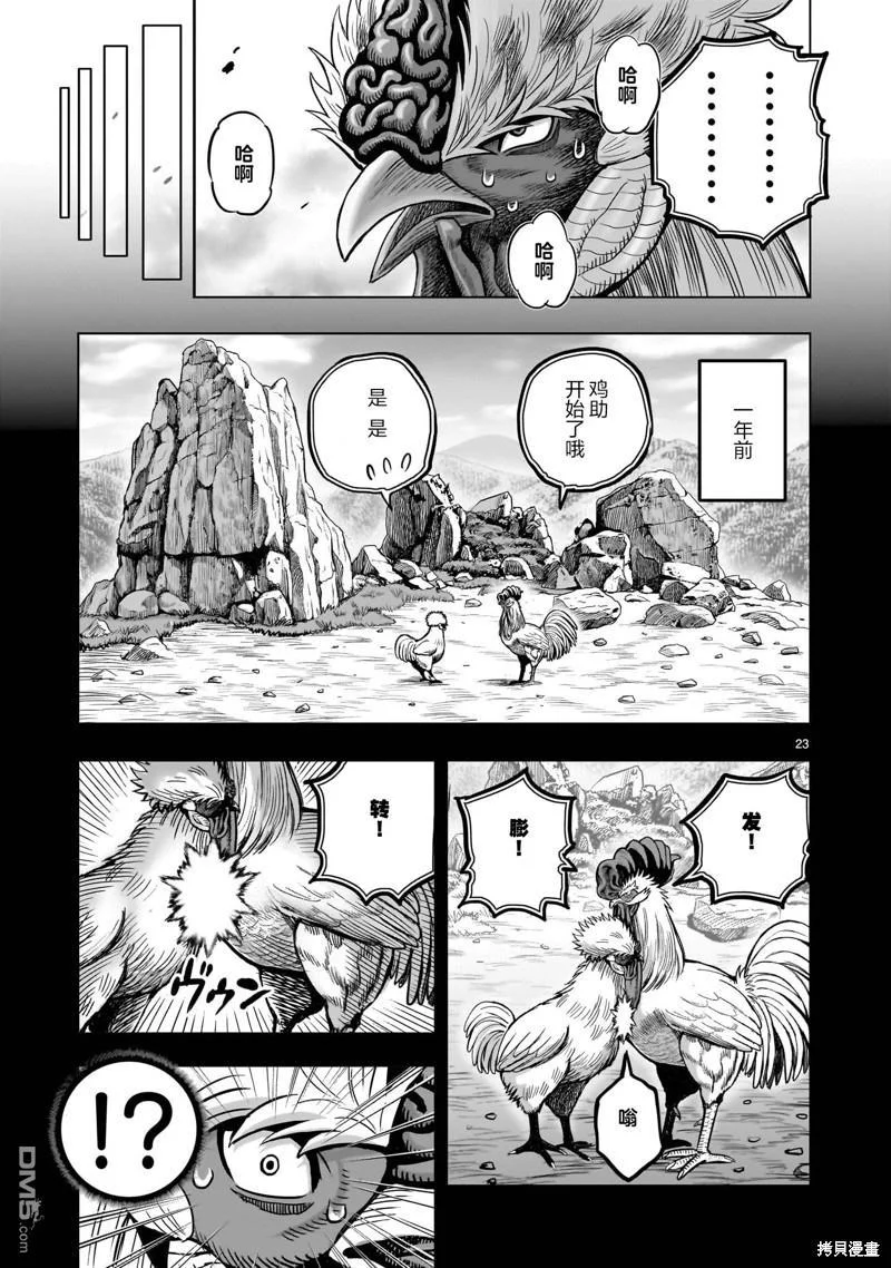 第66页