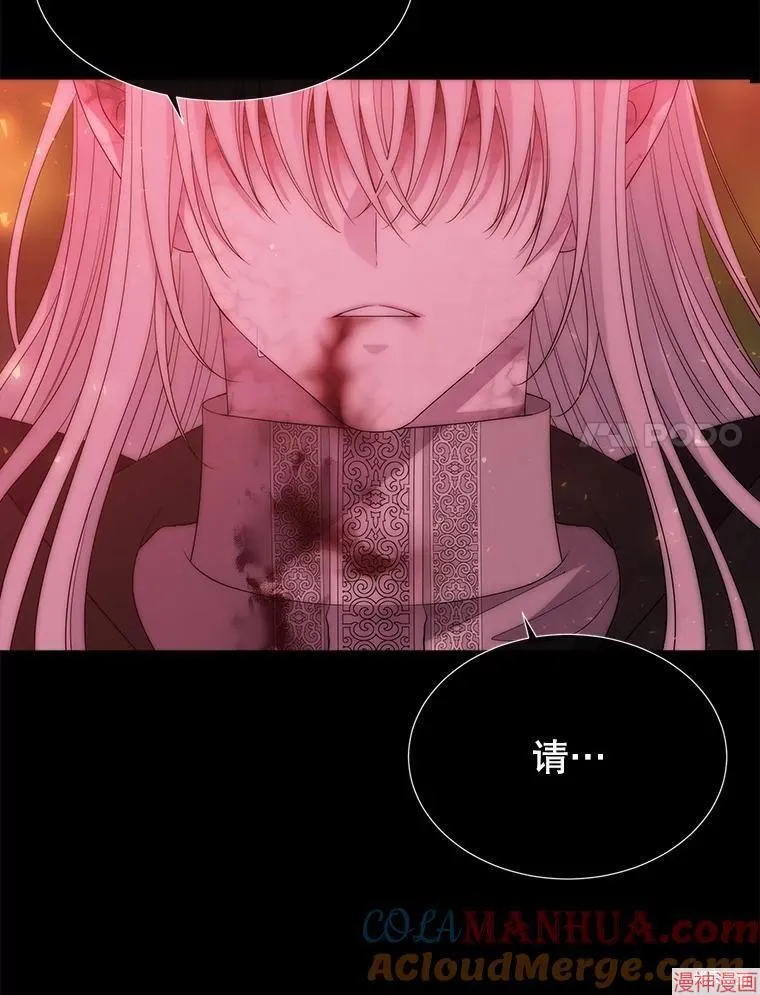 第225页
