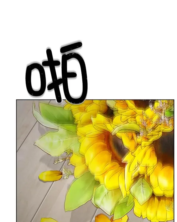 第246页