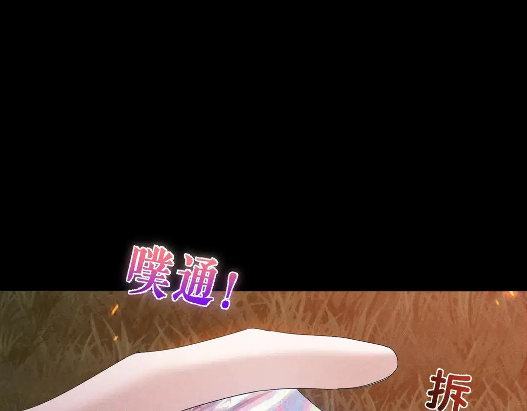 第255页