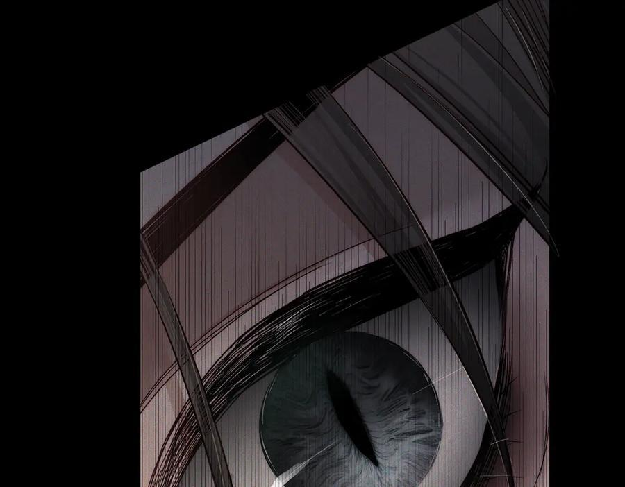 第249页