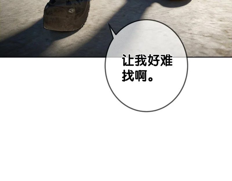 第207页
