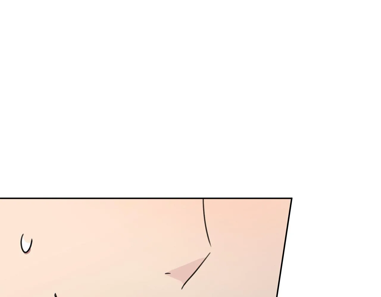 第528页