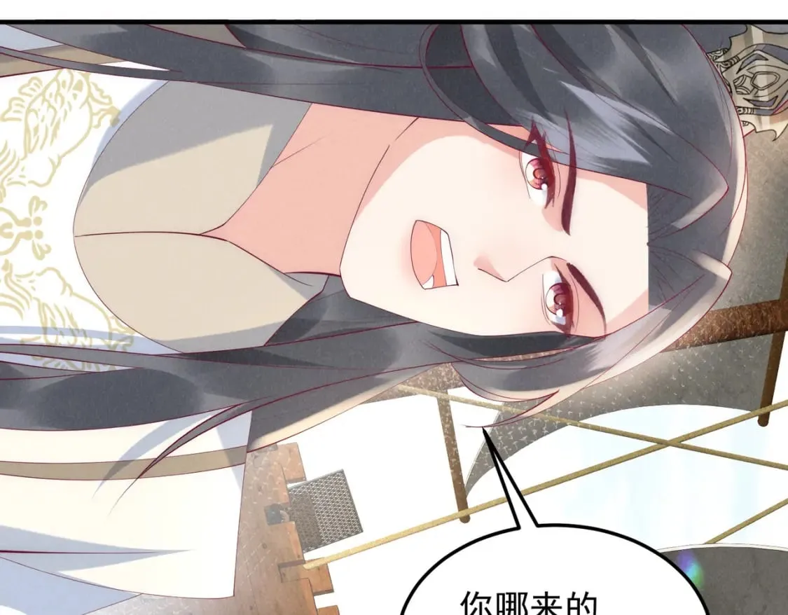 第195页