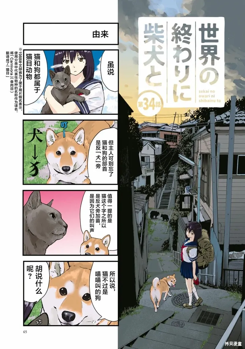 第0页