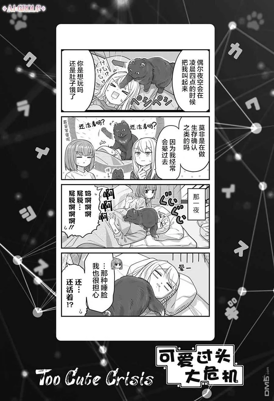 第0页