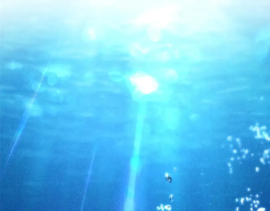 第309页