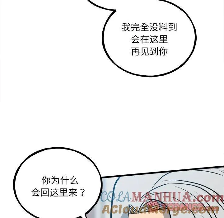 第204页