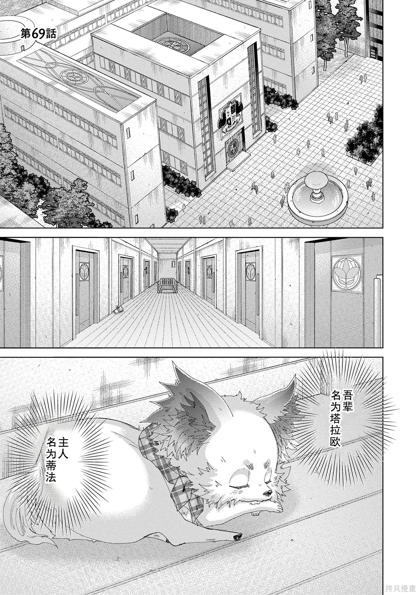 第0页